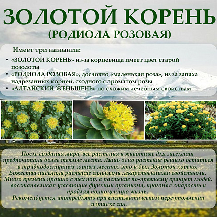 Алтайский бальзам с золотым корнем