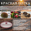 Алтайский бальзам с боровой маткой и красной щеткой