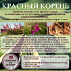Алтайский бальзам с красным корнем и пантогематогеном