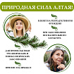 Алтайский бальзам с боровой маткой и красной щеткой