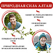 Алтайский бальзам с красным корнем и пантогематогеном