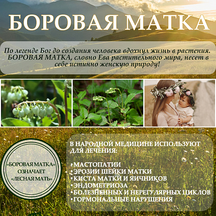 Алтайский бальзам с боровой маткой и красной щеткой